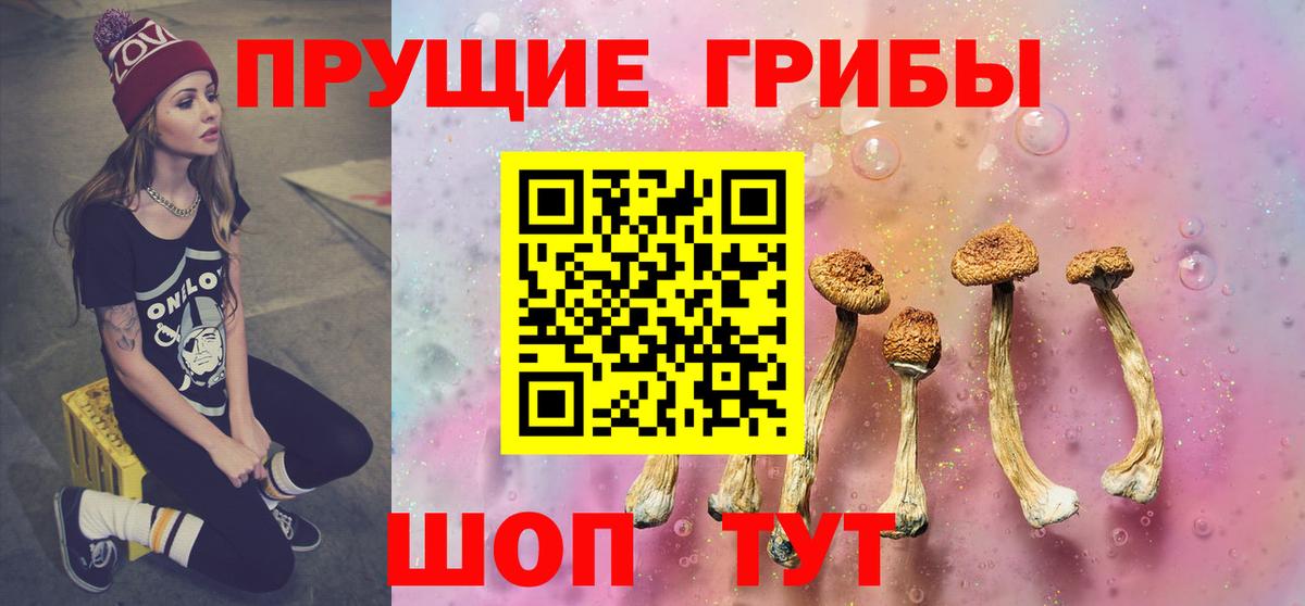 Сертолово  Галлюциногенные грибы Magic Shrooms  Вход с VPN 